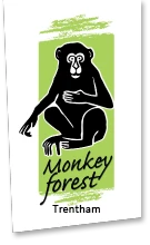 
           
          Trentham Monkey Forest Promo Codes
          