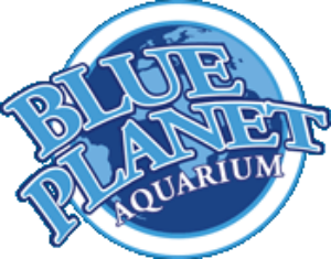 
       
      Blue Planet Aquarium Promo Codes
      