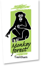 
       
      Trentham Monkey Forest Promo Codes
      